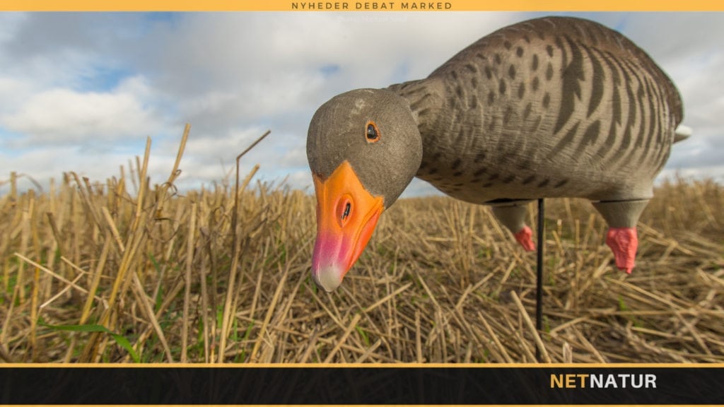 Vildtforvaltningsråd strør om sig med gaver