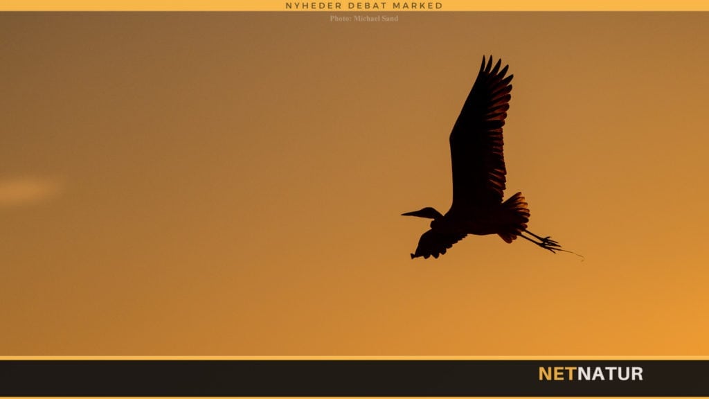 Maribosøerne - et fint udflugtsmål