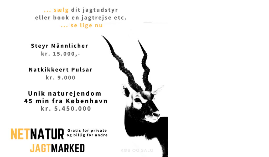 Jagtmarked med riffel, natkikkert og naturejendom