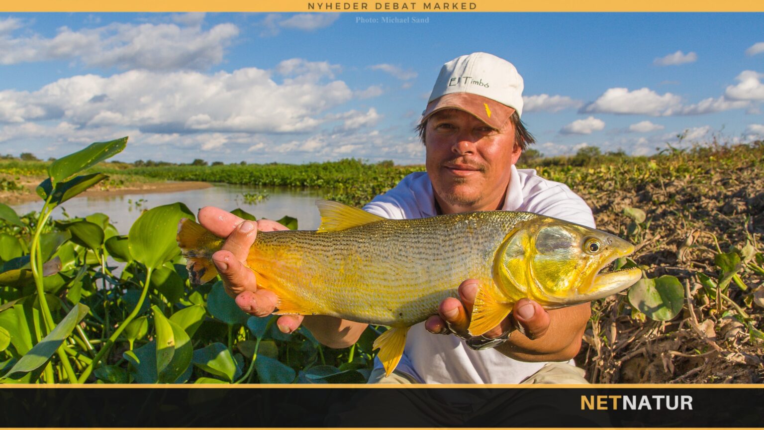 Passioneret kamp med Golden Dorado