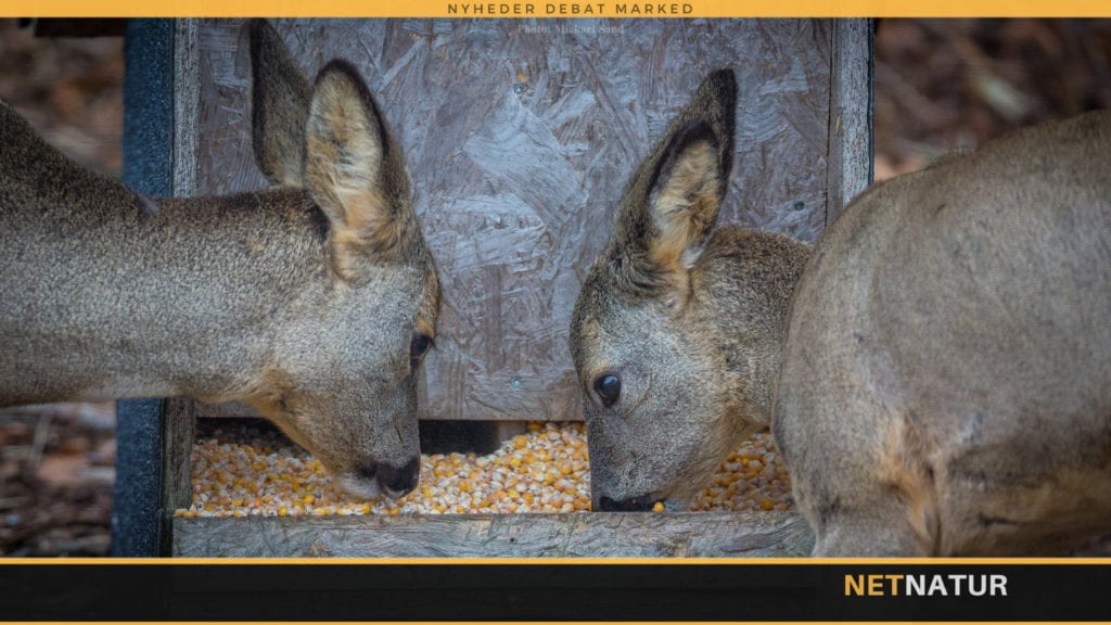 Fodring på store og små arealer