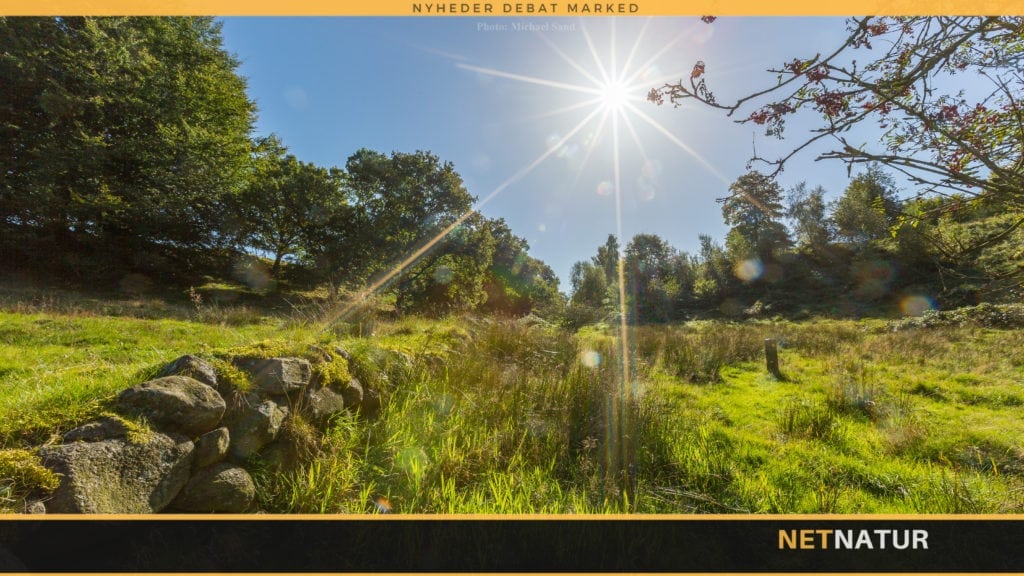 DN stolte over politisk indflydelse