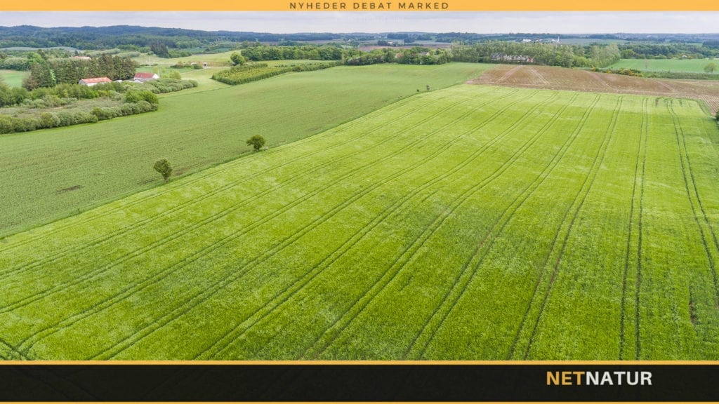 DN: Kort forlængelse af glyphosat er en halv sejr