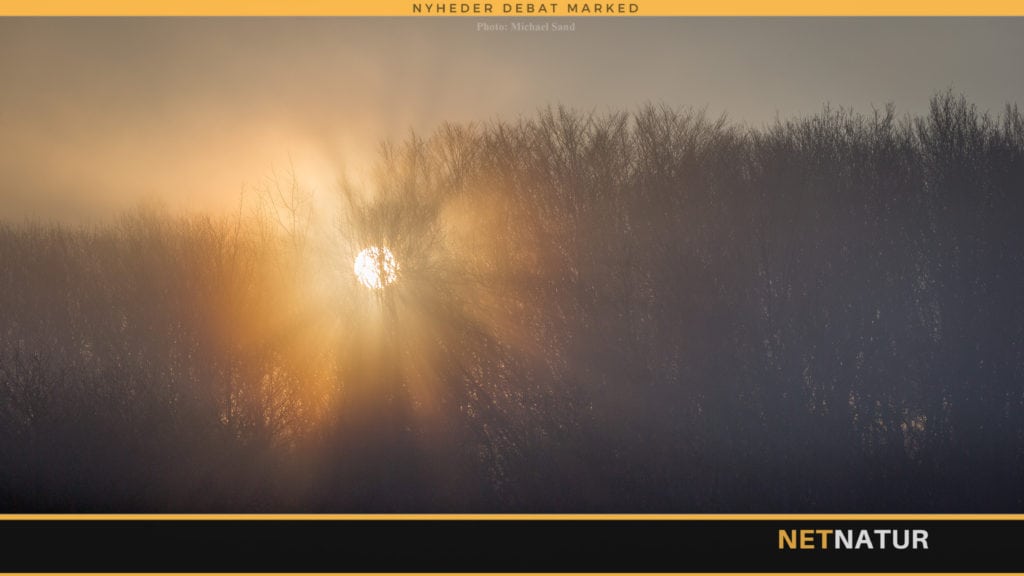 Miljøstyrelsen flytter til Fyn