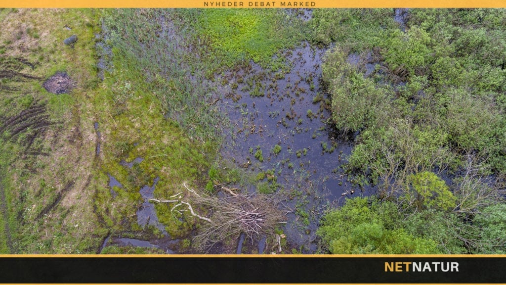 Alle midler i Fiskeplejens gruspulje er uddelt i 2018