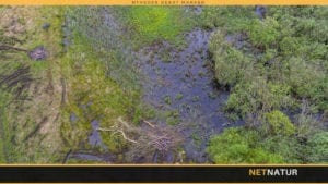 Alle midler i Fiskeplejens gruspulje er uddelt i 2018