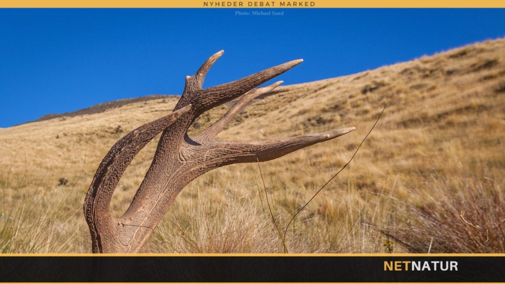 Jægere i kamp mod anvendelse af gift