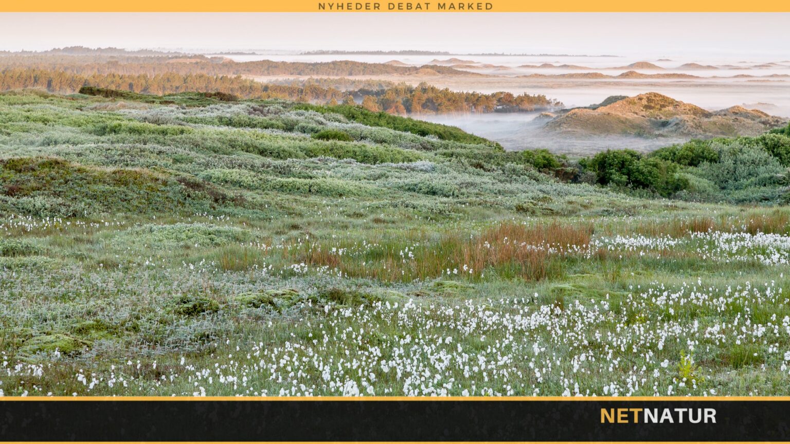 En ny jordreform kan blive en historisk sejr for dansk natur En ny jordreform kan blive en historisk sejr for dansk natur