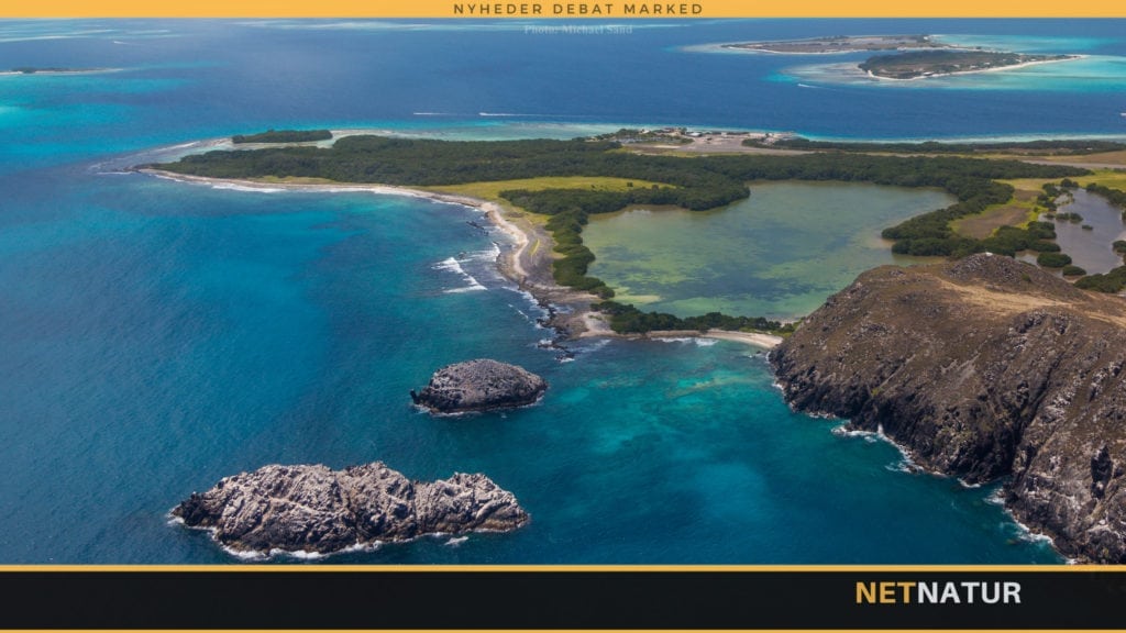 FN vil bekæmpe forurening med plastik