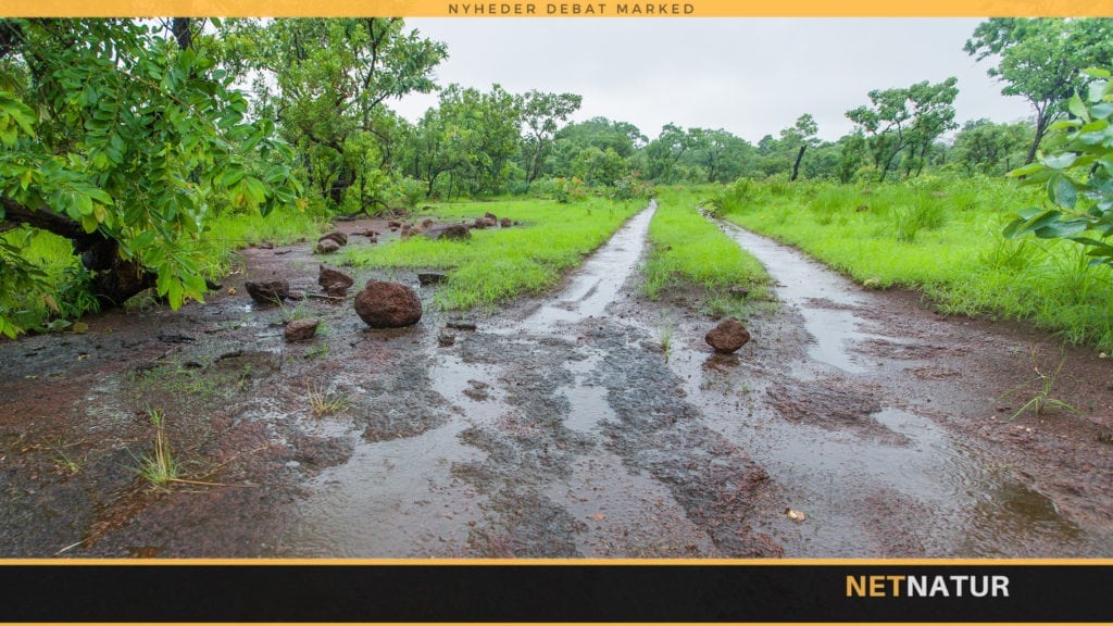 Leonardo DiCaprio om klimaforandringer