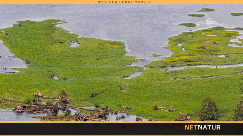 En filmrejse til Kamchatka