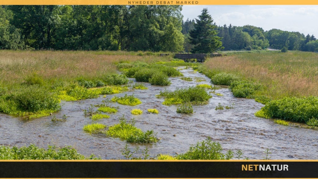 En ny jordreform kan blive en historisk sejr for dansk natur