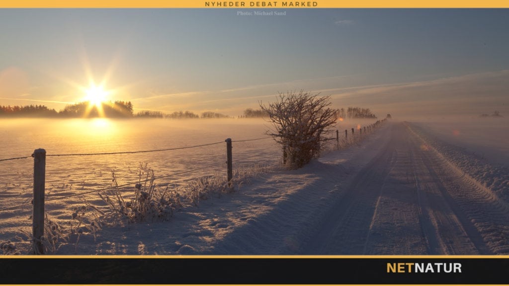 Rød blok uenig: Fra sikring af fagligheden til håndgranat i miljøområdet