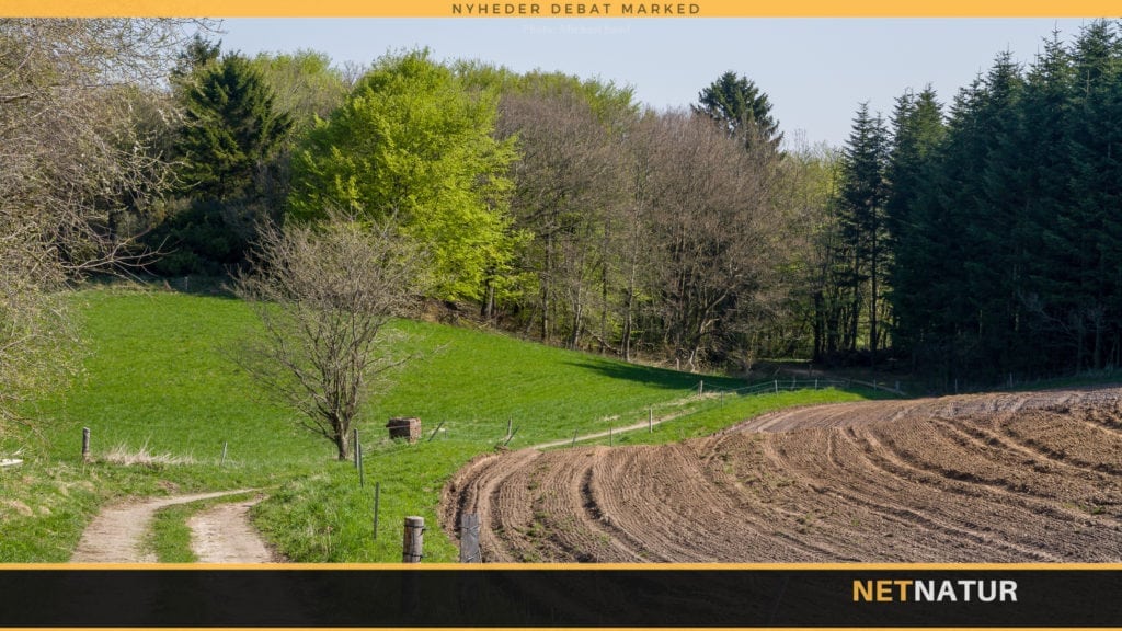 DN angriber begrundelse for at sløjfe beskyttet natur DN: Fredninger i fællesskab