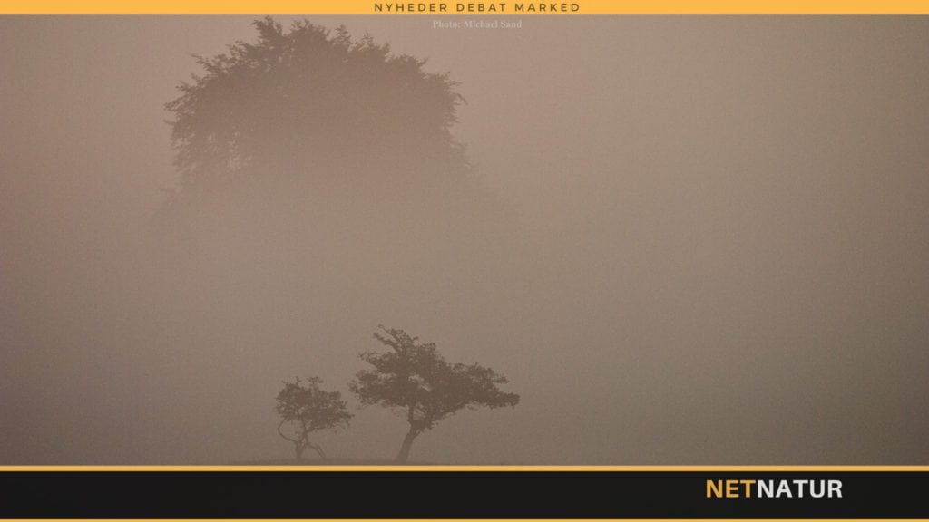 Miljøstyrelsens faglige områder konkurrenceudsættes