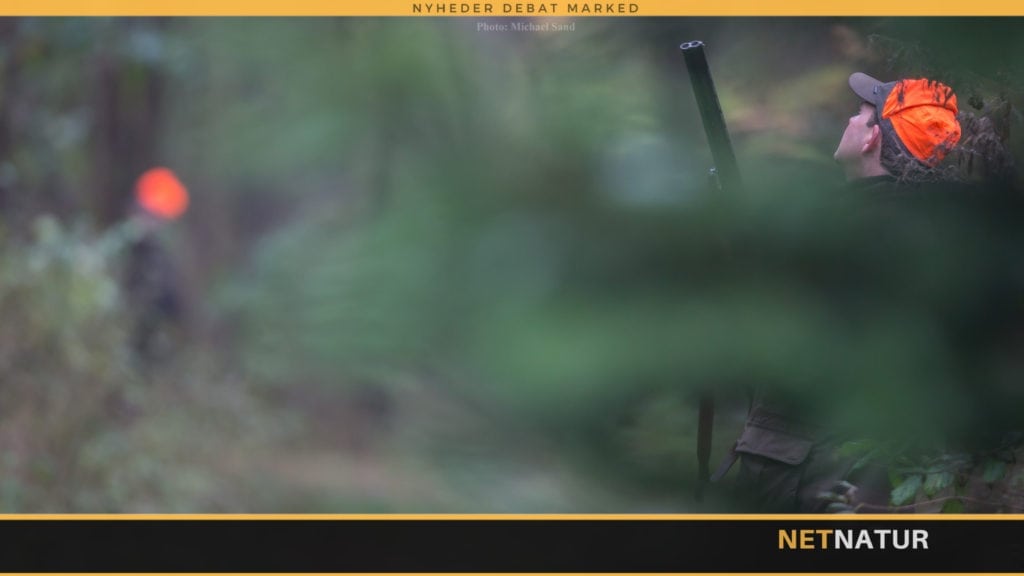 DJ: Elmelund-projektet er dyrt, men godt