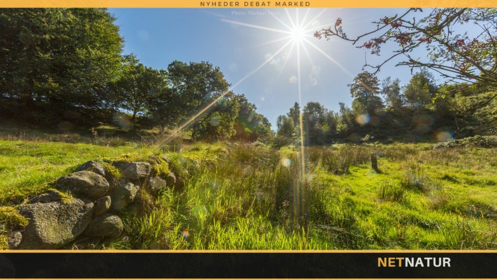 Din mening om udpegning af skov til biodiversitet