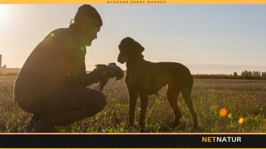 Flere jagtforbund: Godt eller skidt?