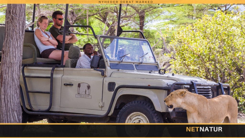 Afrika: Jagt- og fototurisme og omfattende krybskytteri