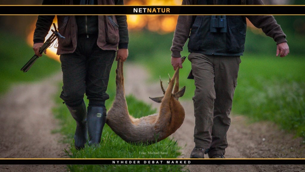 Kursus og middag med sommerbuk på menuen