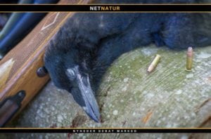 Børn tilbringer ikke så meget tid i naturen som tidligere