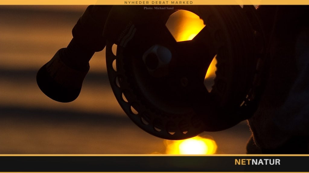 Truer undervandsjagt bestanden af havørred?