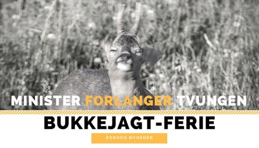 Minister forlanger tvungen bukkejagt-ferie Minister forlanger tvungen bukkejagt-ferie