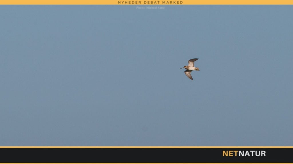 Regeringen og Dansk Folkeparti vil beskytte store naturarealer