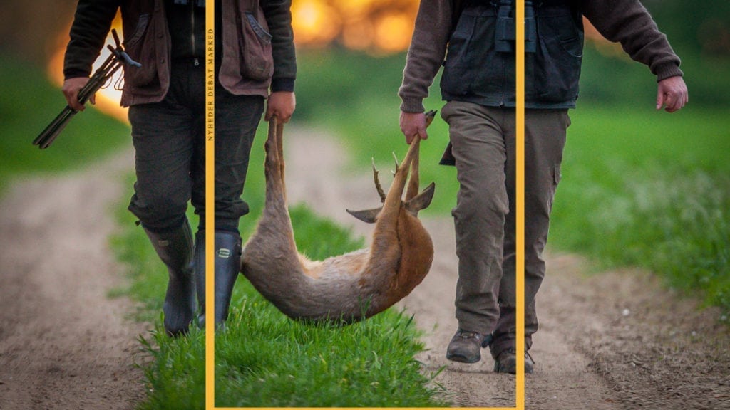 Gratis nyjægerjagter hos Naturstyrelsen