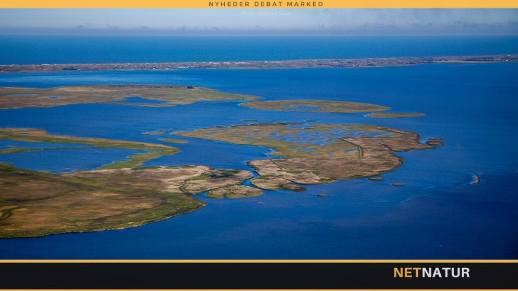 Oversigt over iltsvind Oversigt over iltsvind