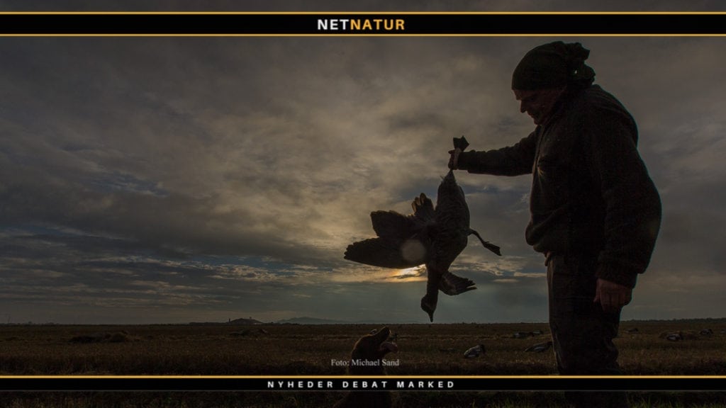 Vingeindsamling med præmier Vingeindsamling med præmier