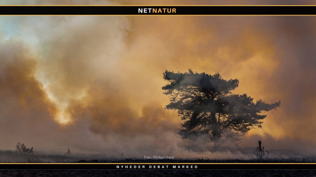 Lille Vildmose i brand