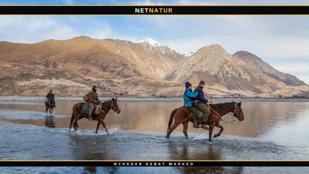 Rejsegarantifonden: Tjek medlemmerne her