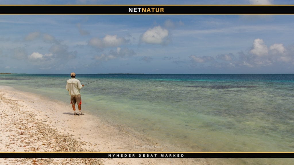 Pakkerejse: Sådan er du dækket