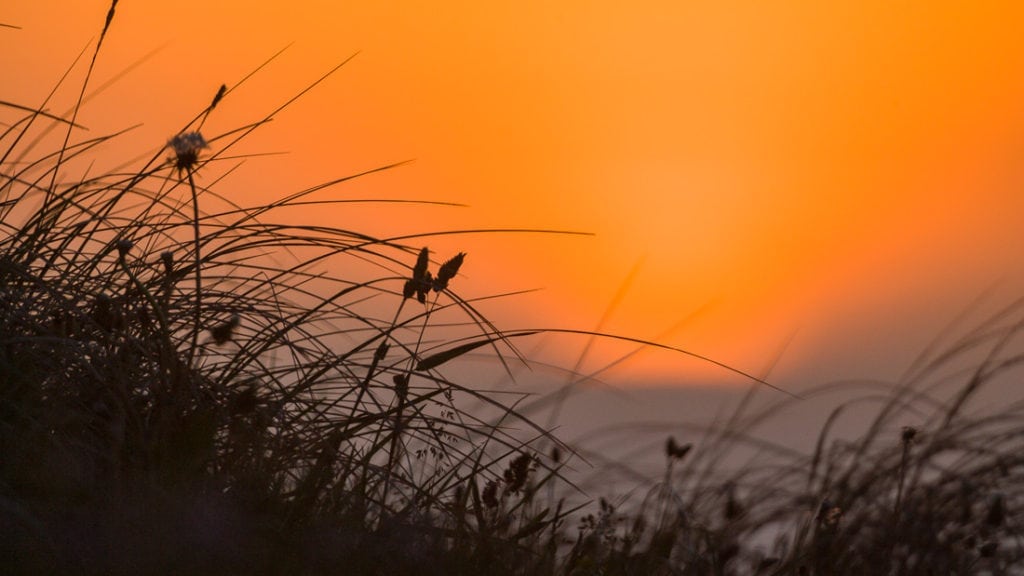 Naturen netop nu - Forårsjævndøgn
