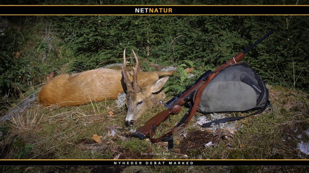 Svensk jagttegn - sådan gør du