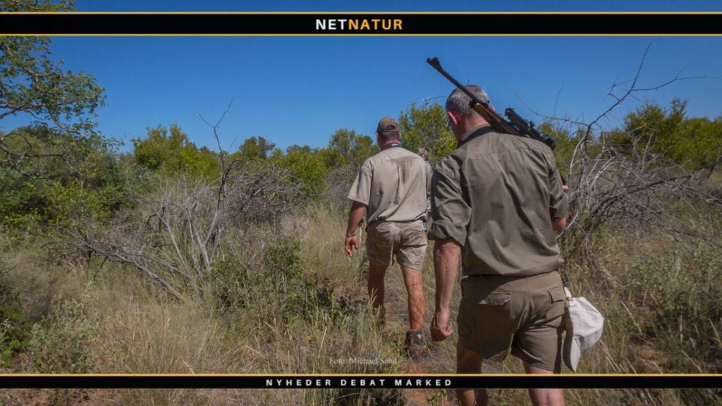 .600 Nitro Express - 120 år og stadig frisk på rekylen