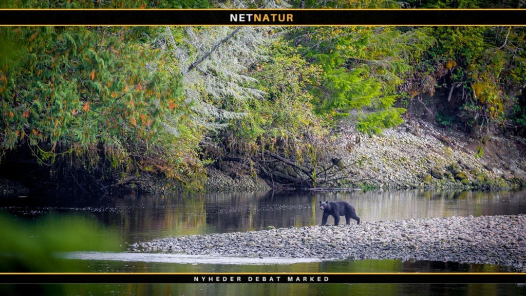 Rejseudbydere kan blive medlem af Rejsegarantifonden uden at stille garanti