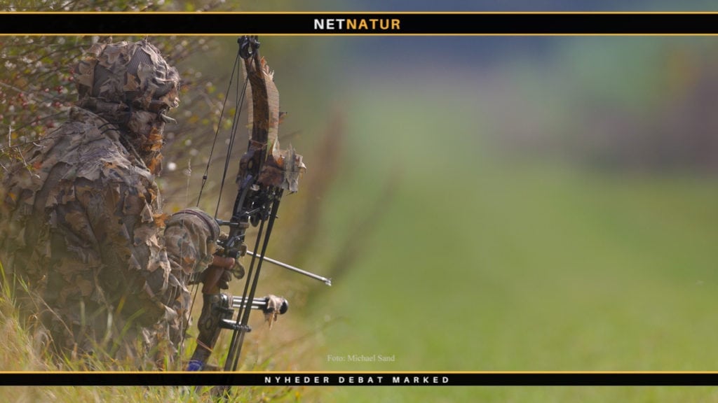 Generel information om buejagt i Danmark