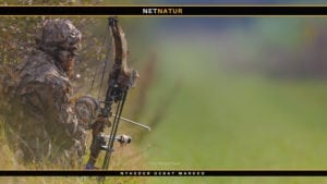 Generel information om buejagt i Danmark