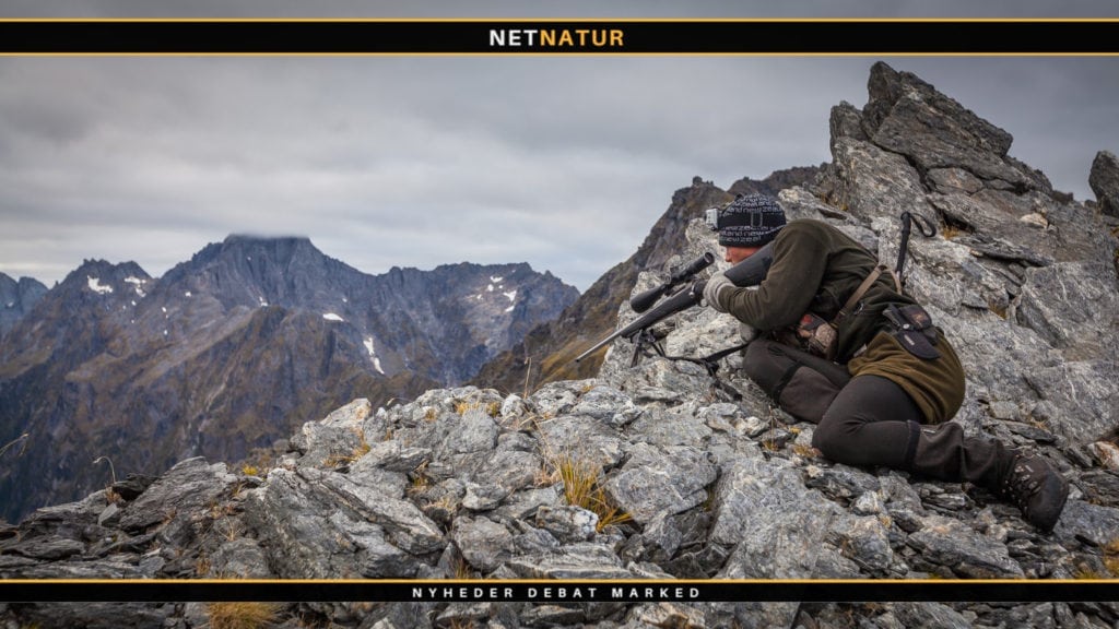 Jægerne blev hørt: Nedslagtning af 25.000 tahr er sat på stand by