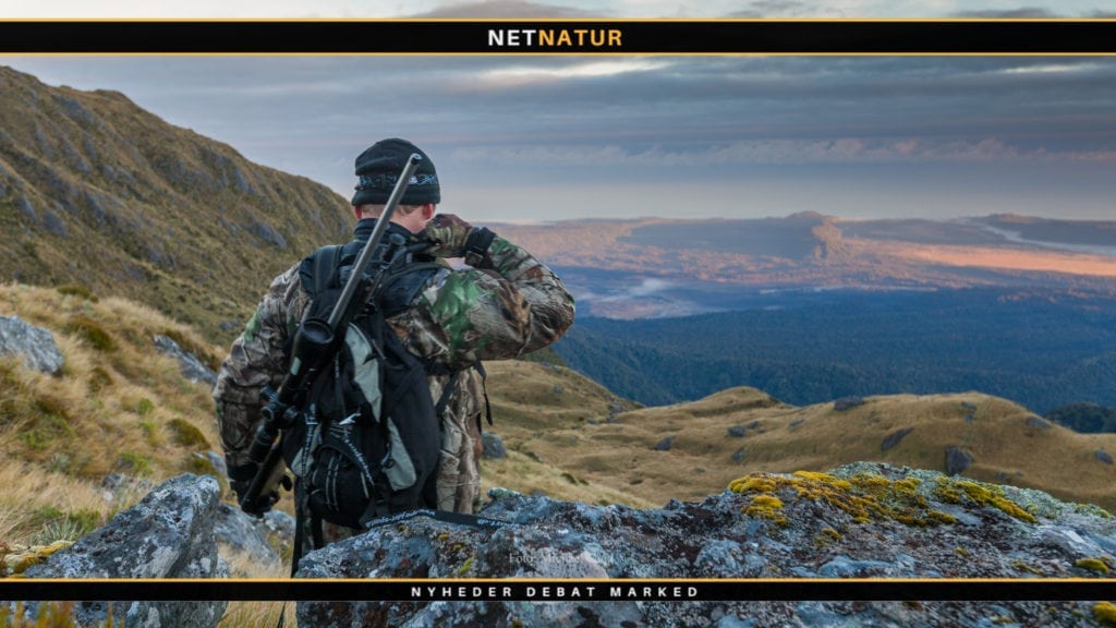 DSC: Nedskydning af 25.000 tahr er ikke videnskabelig begrundet