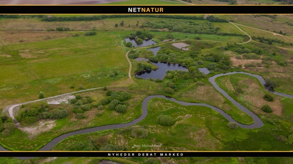 Grønne korridorer i landskabet støttes med 10 millioner