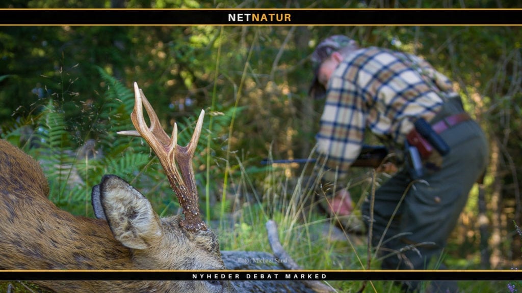 Antallet af dødbringende vådeskudulykker kan næppe bringes længere ned