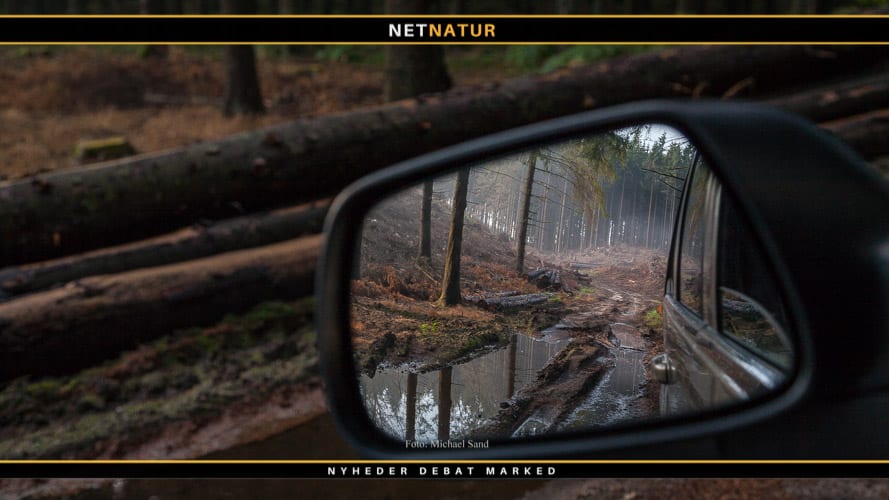 Massedød med lyspunkter