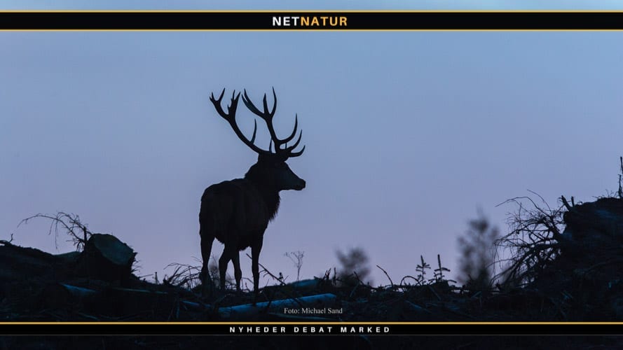 Ungarns jagttraditioner på UNESCO´s liste