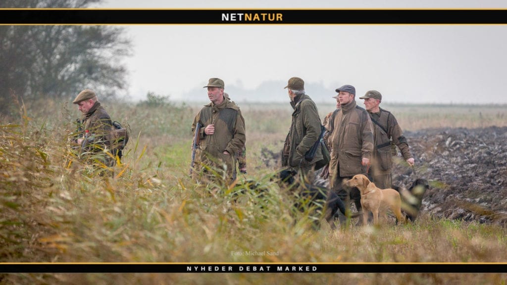 Vådeskud og andre uheld i indeværende jagtsæson