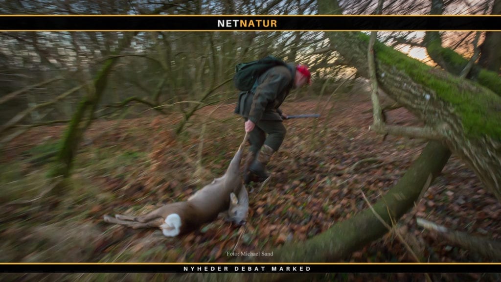 Fransk jagttegn - sådan gør du