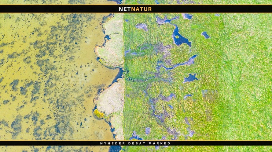 EU skal godkende nye Natura 2000-områder