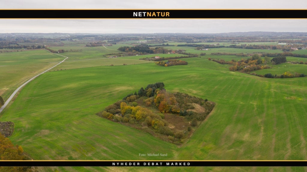 Bæredygtig Landbrug: DJ-formands fremturen er uacceptabel